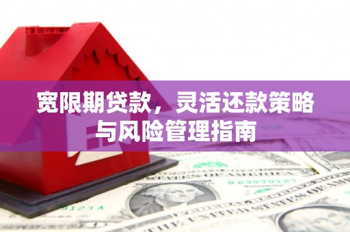 乐东宽限期贷款，灵活还款策略与风险管理指南