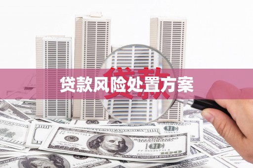 荣县贷款风险处置方案