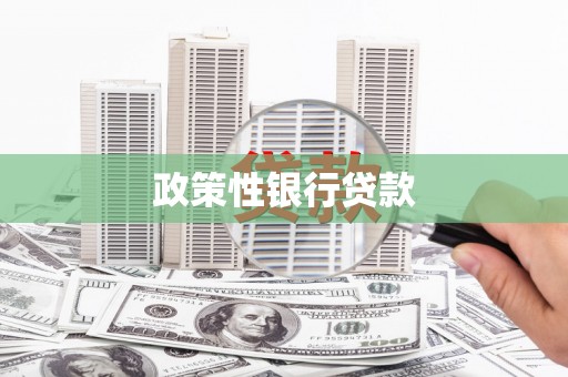 双滦政策性银行贷款