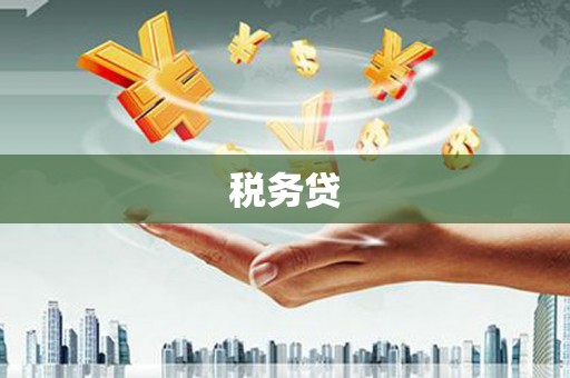隆子税务贷