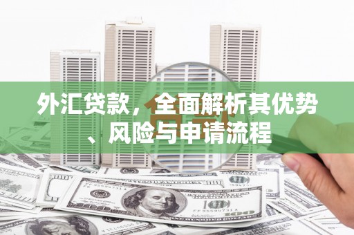 荷塘外汇贷款，全面解析其优势、风险与申请流程