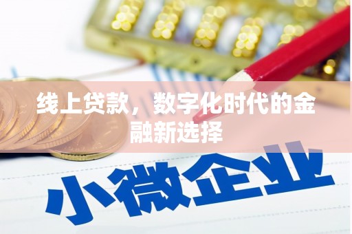 田林线上贷款，数字化时代的金融新选择