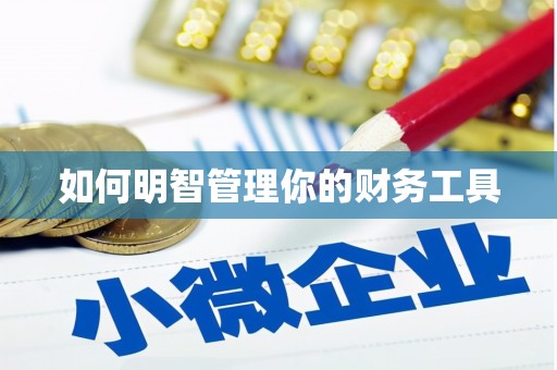 普定如何明智管理你的财务工具