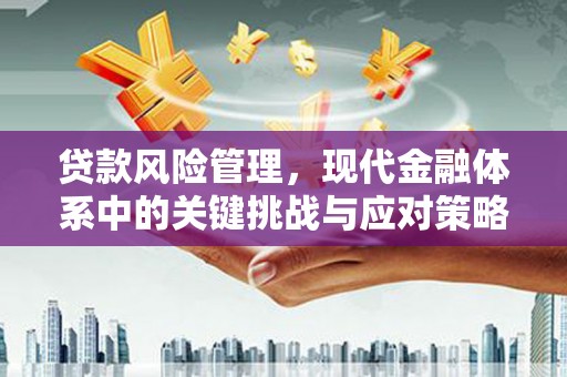 濮阳贷款风险管理，现代金融体系中的关键挑战与应对策略