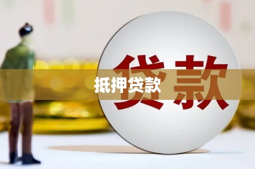 新龙抵押贷款