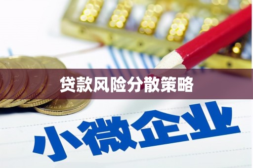 迎泽贷款风险分散策略
