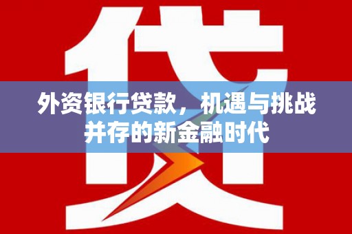 海州外资银行贷款，机遇与挑战并存的新金融时代