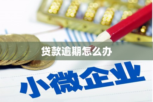 马尔康贷款逾期怎么办