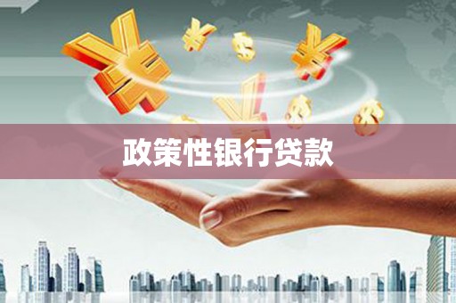庄浪政策性银行贷款