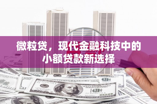 望城微粒贷，现代金融科技中的小额贷款新选择