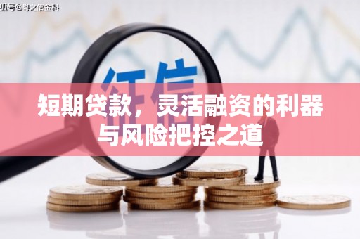 赫山短期贷款，灵活融资的利器与风险把控之道