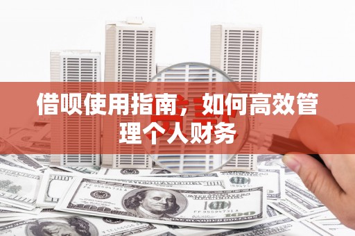 岳塘借呗使用指南，如何高效管理个人财务