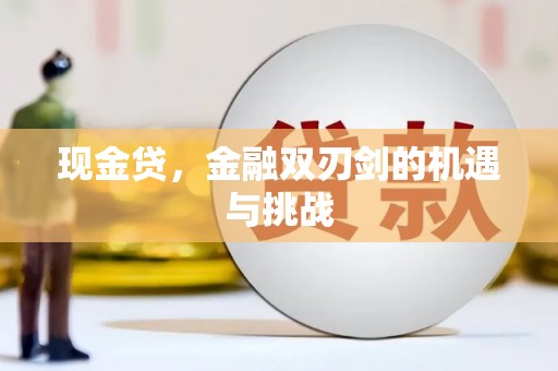 巍山现金贷，金融双刃剑的机遇与挑战