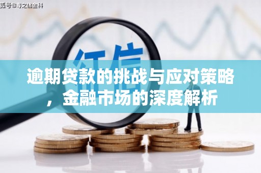 商南逾期贷款的挑战与应对策略，金融市场的深度解析
