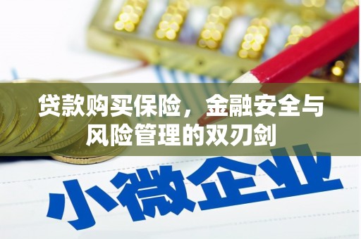 阜平贷款购买保险，金融安全与风险管理的双刃剑