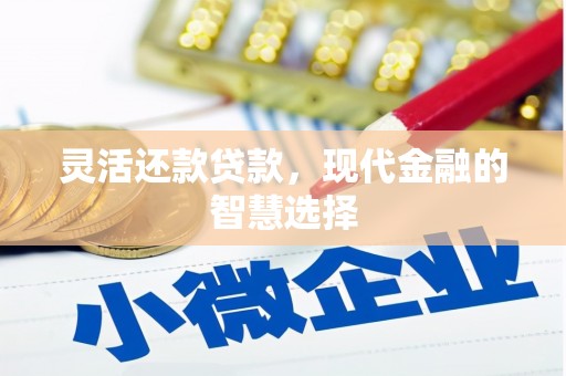 林西灵活还款贷款，现代金融的智慧选择