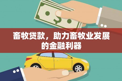 新晃畜牧贷款，助力畜牧业发展的金融利器