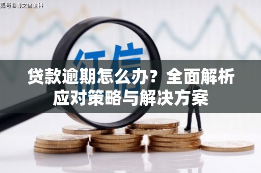 前镇贷款逾期怎么办？全面解析应对策略与解决方案