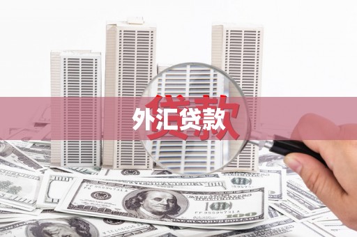 广水外汇贷款