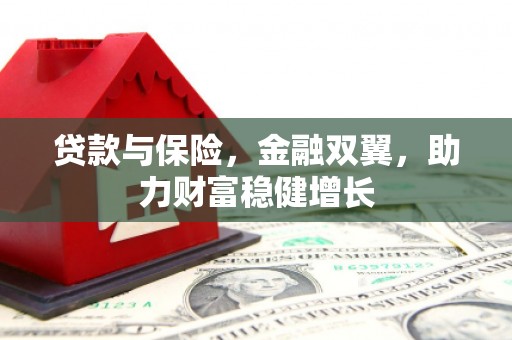 暖暖贷款与保险，金融双翼，助力财富稳健增长