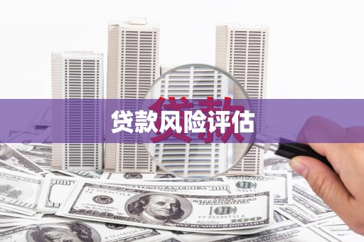 上城贷款风险评估