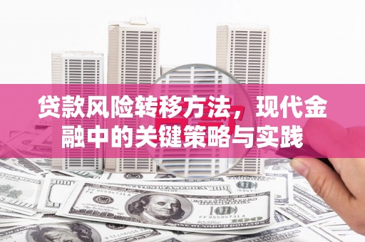 六枝贷款风险转移方法，现代金融中的关键策略与实践