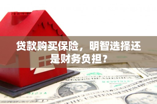 观音贷款购买保险，明智选择还是财务负担？