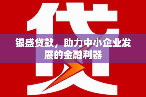 八宿银盛贷款，助力中小企业发展的金融利器