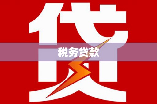 白云税务贷款