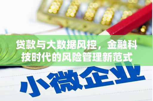 射阳贷款与大数据风控，金融科技时代的风险管理新范式