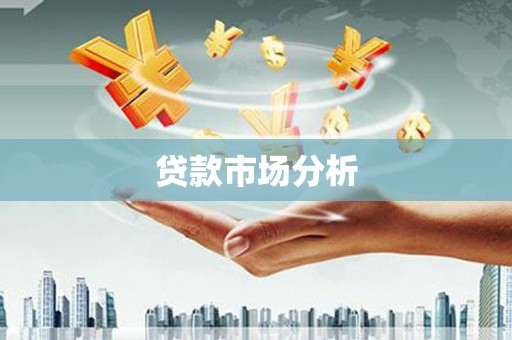 龙游贷款市场分析