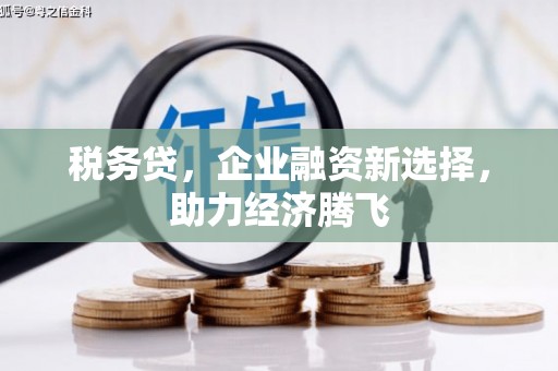 威宁税务贷，企业融资新选择，助力经济腾飞