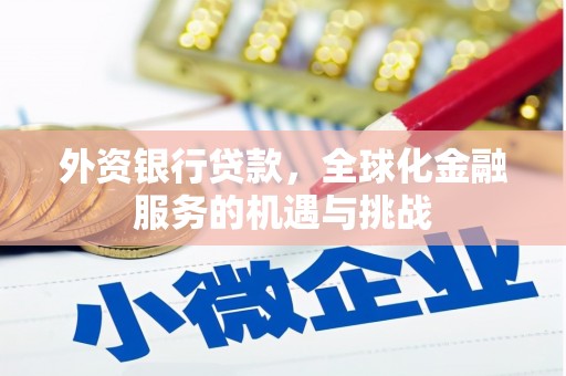 南涧外资银行贷款，全球化金融服务的机遇与挑战