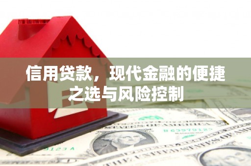 龙江信用贷款，现代金融的便捷之选与风险控制