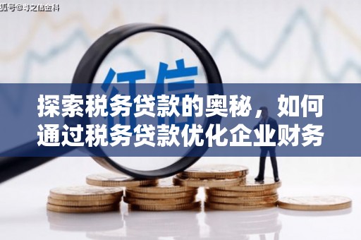 花山探索税务贷款的奥秘，如何通过税务贷款优化企业财务