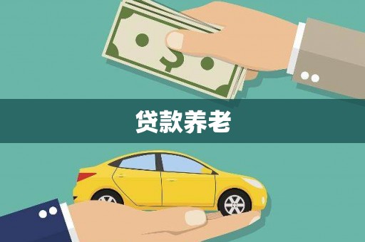 新蔡贷款养老