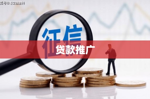 乐都贷款推广