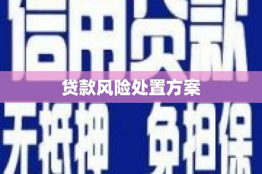 湖北贷款风险处置方案
