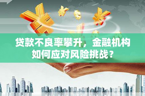 松江贷款不良率攀升，金融机构如何应对风险挑战？
