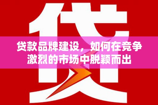 芦淞贷款品牌建设，如何在竞争激烈的市场中脱颖而出