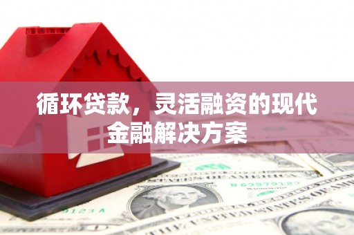 阿合奇循环贷款，灵活融资的现代金融解决方案