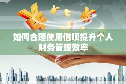 宾川如何合理使用借呗提升个人财务管理效率