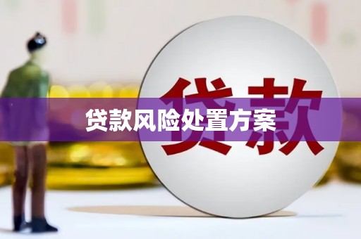 富民贷款风险处置方案