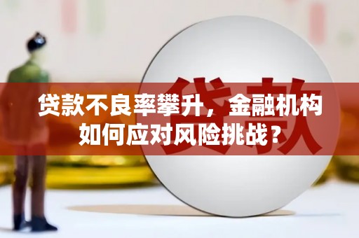 云浮贷款不良率攀升，金融机构如何应对风险挑战？