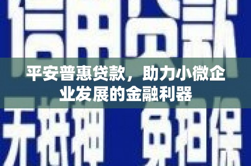 哈尔滨平安普惠贷款，助力小微企业发展的金融利器