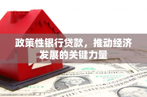 富源政策性银行贷款，推动经济发展的关键力量
