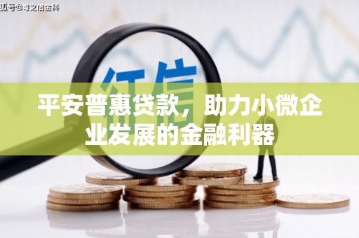 江华平安普惠贷款，助力小微企业发展的金融利器