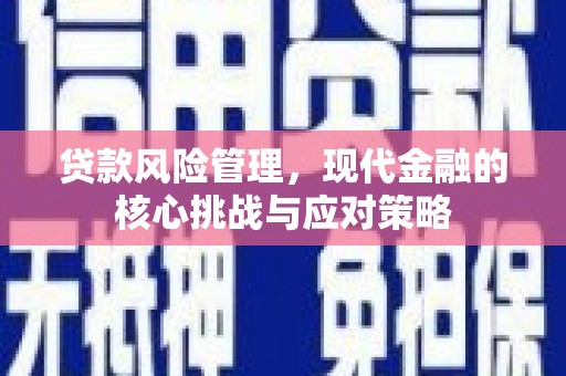 永川贷款风险管理，现代金融的核心挑战与应对策略