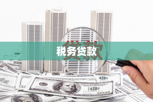蓬溪税务贷款