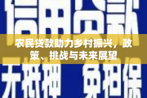 嘉禾农民贷款助力乡村振兴，政策、挑战与未来展望